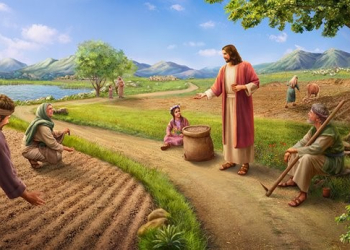 XVII NIEDZIELA ZWYKŁA