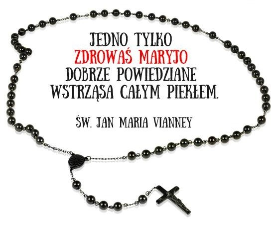 XXVII NIEDZIELA ZWYKŁA