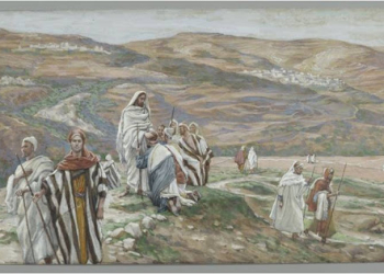 XIV NIEDZIELA ZWYKŁA