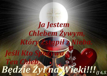 XXI NIEDZIELA ZWYKŁA – 31 PIELGRZYMKA RUCHU DLA LEPSZEGO ŚWIATA