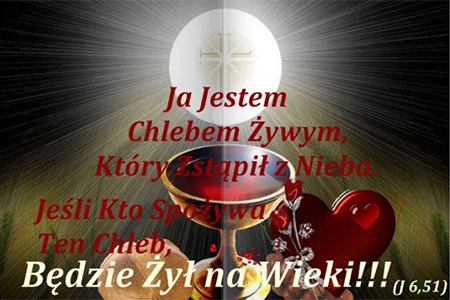 XXI NIEDZIELA ZWYKŁA – 31 PIELGRZYMKA RUCHU DLA LEPSZEGO ŚWIATA