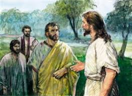 XII NIEDZIELA ZWYKŁA