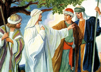 XV NIEDZIELA ZWYKŁA