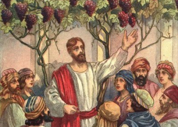 XXVII NIEDZIELA ZWYKŁA