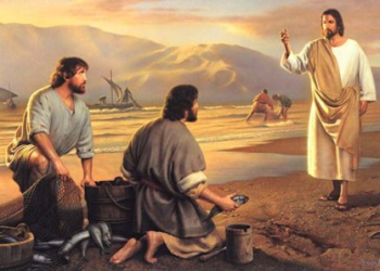 XIII NIEDZIELA ZWYKŁA