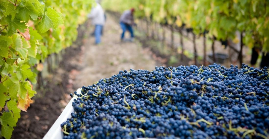 XXV NIEDZIELA ZWYKŁA