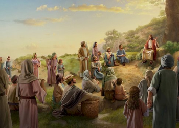 XXIII NIEDZIELA ZWYKŁA