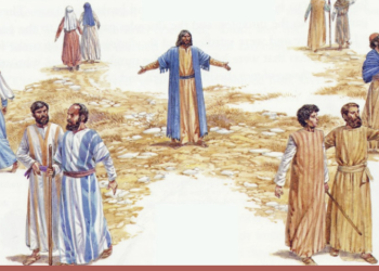 XV NIEDZIELA ZWYKŁA