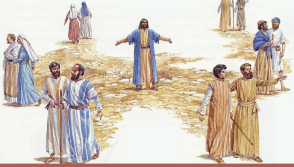 XV NIEDZIELA ZWYKŁA