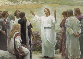 XVI NIEDZIELA ZWYKŁA