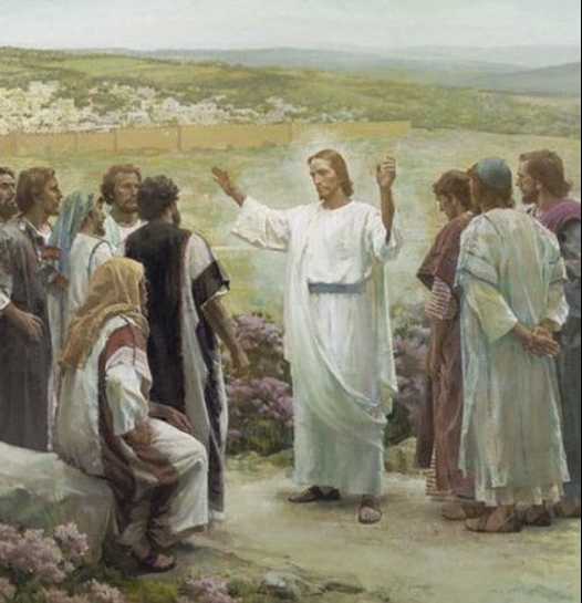XVI NIEDZIELA ZWYKŁA