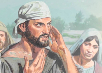 XXIII NIEDZIELA ZWYKŁA