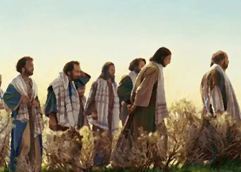 XIV NIEDZIELA ZWYKŁA