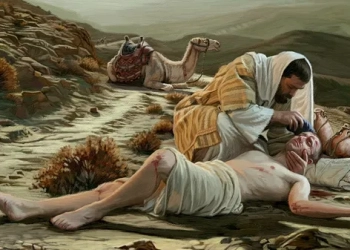 XV NIEDZIELA ZWYKŁA