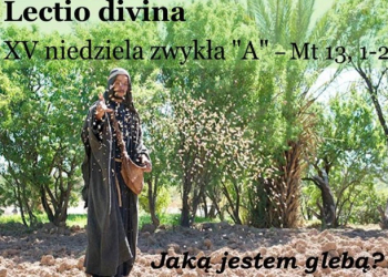 XV NIEDZIELA ZWYKŁA