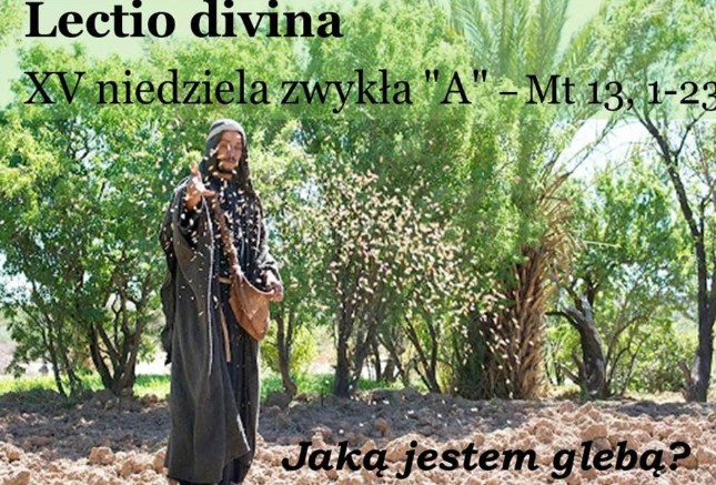 XV NIEDZIELA ZWYKŁA