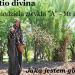 XV NIEDZIELA ZWYKŁA
